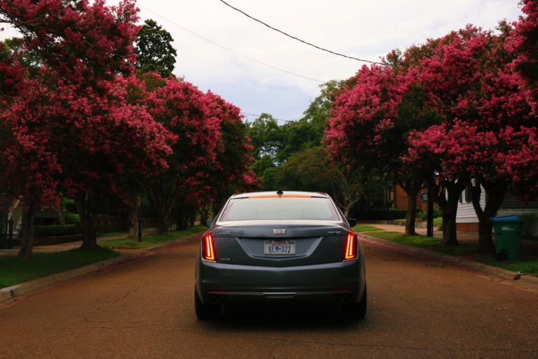 flowers in natchez mississippi