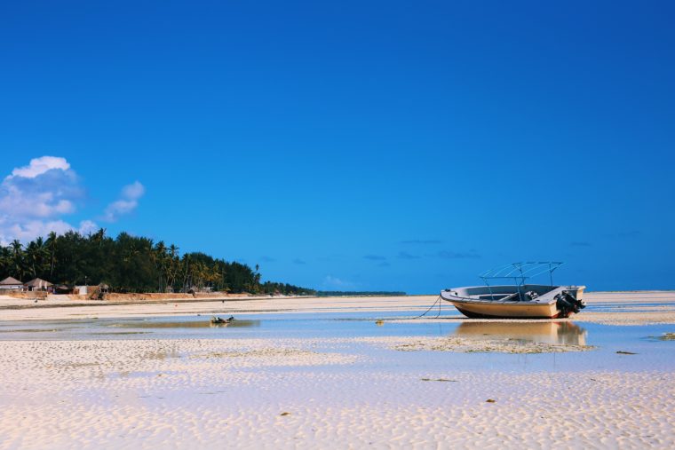 zanzibar tanzania seaweed