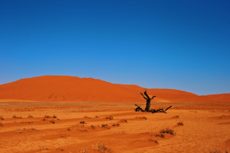 sossusvlei namibia