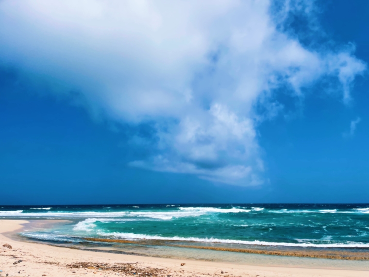 baby beach aruba