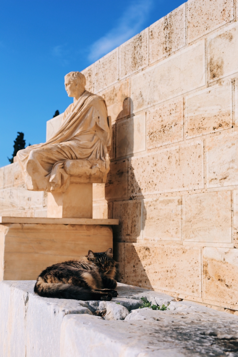 cats of athens