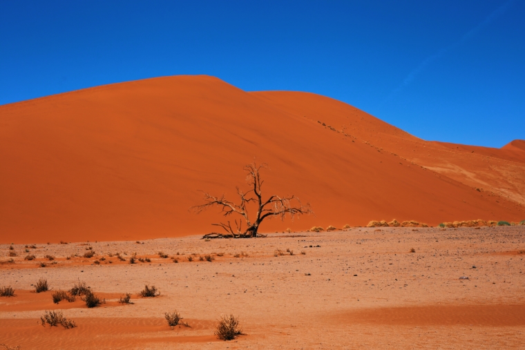 sossusvlei namibia