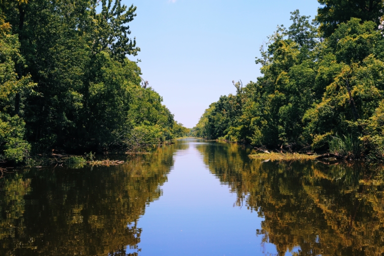 new orleans louisiana swamp tours