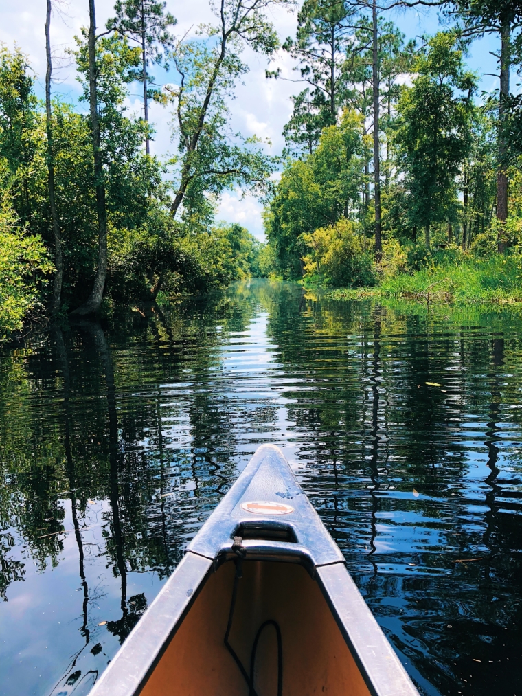 okefenokee swamp park georgia