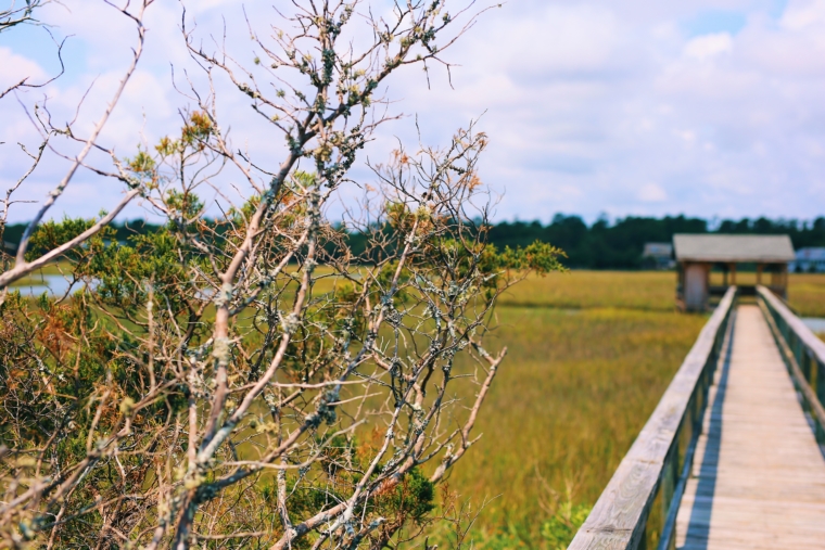 pawley island south carolina