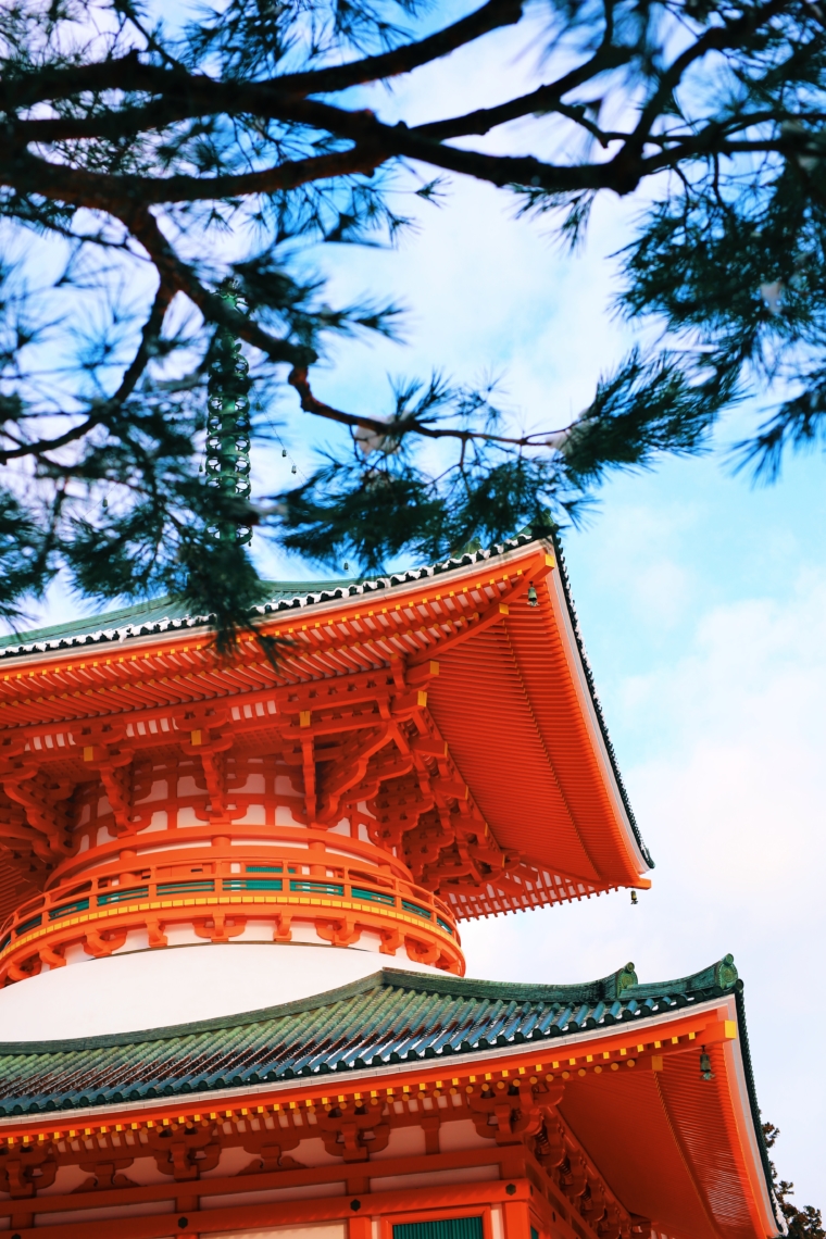 koyasan japan Danjo Garan