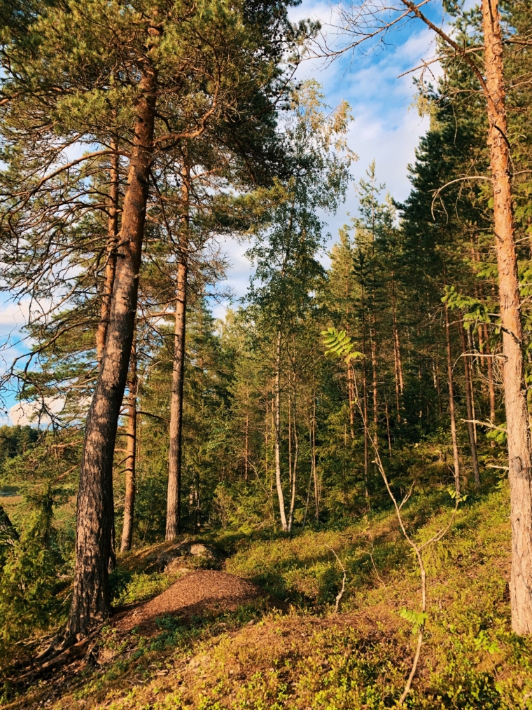 mathildedal finnland national park