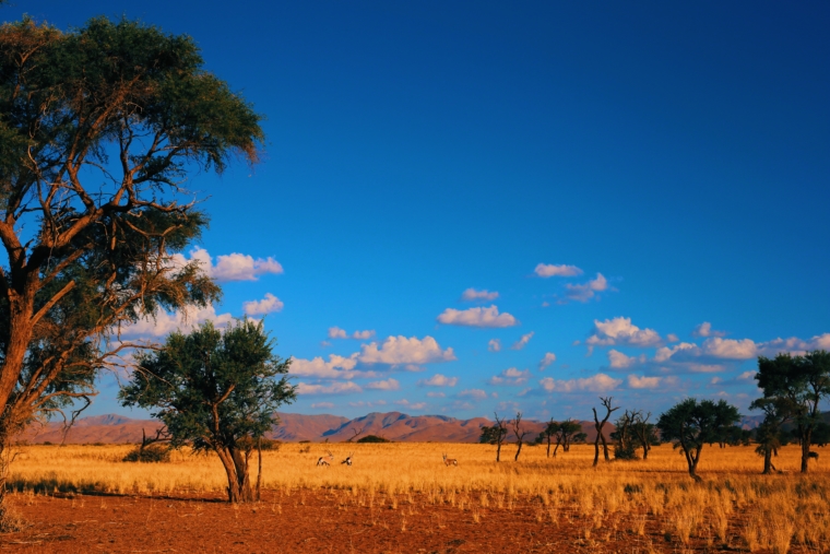 the desert grace lodge gondwana collection namibia