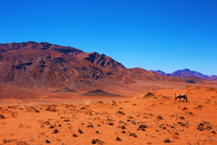 wolwedans dune lodge namibia