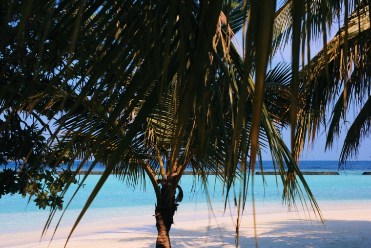 kurumba maldives 