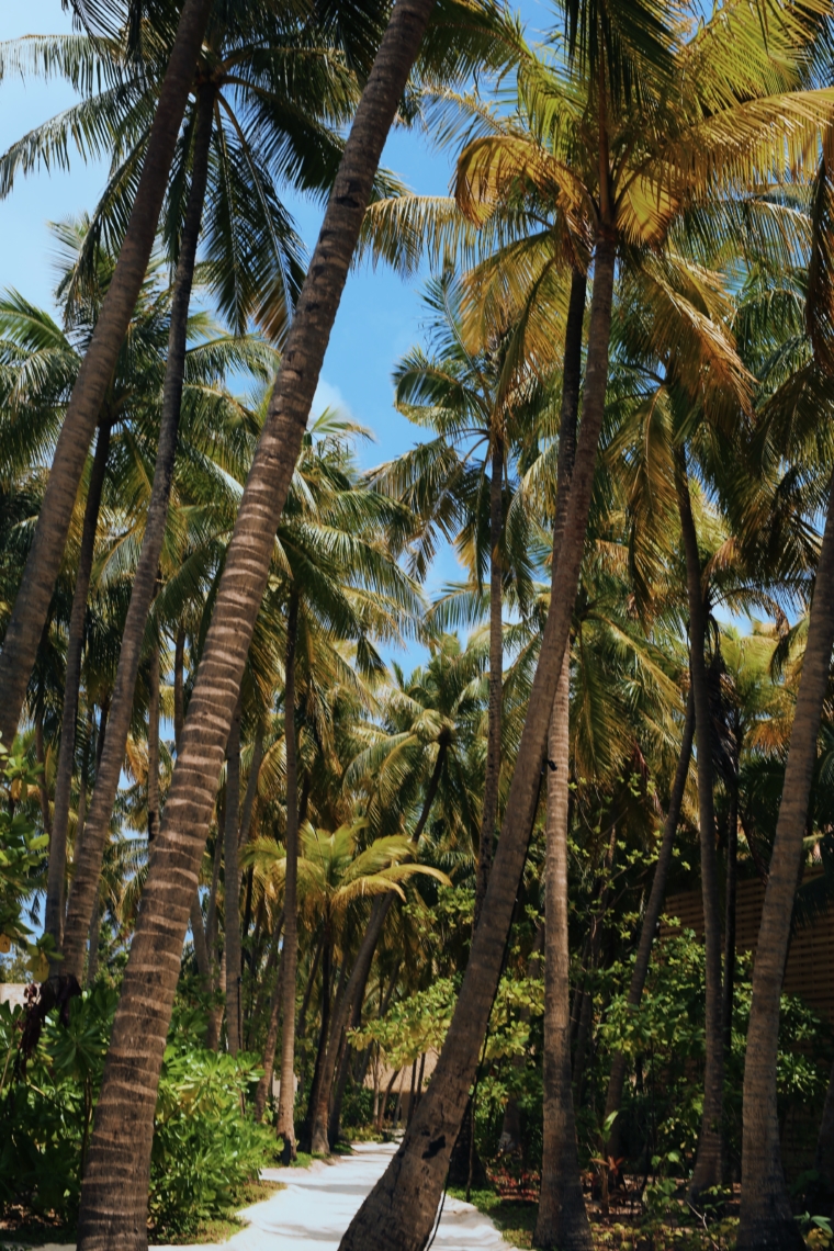 faarufushi maldives