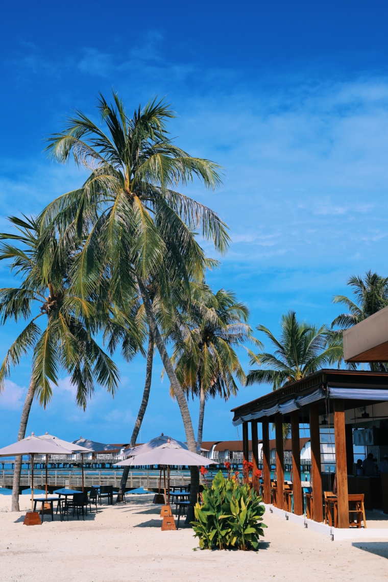 westin maldives