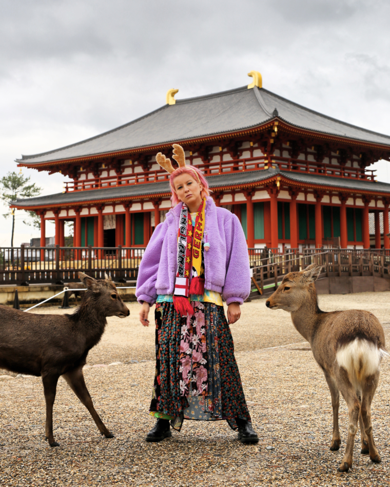 nara japan deer