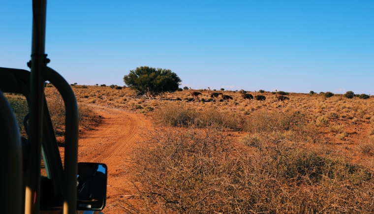 kalahari anib lodge gondwana collection namibia