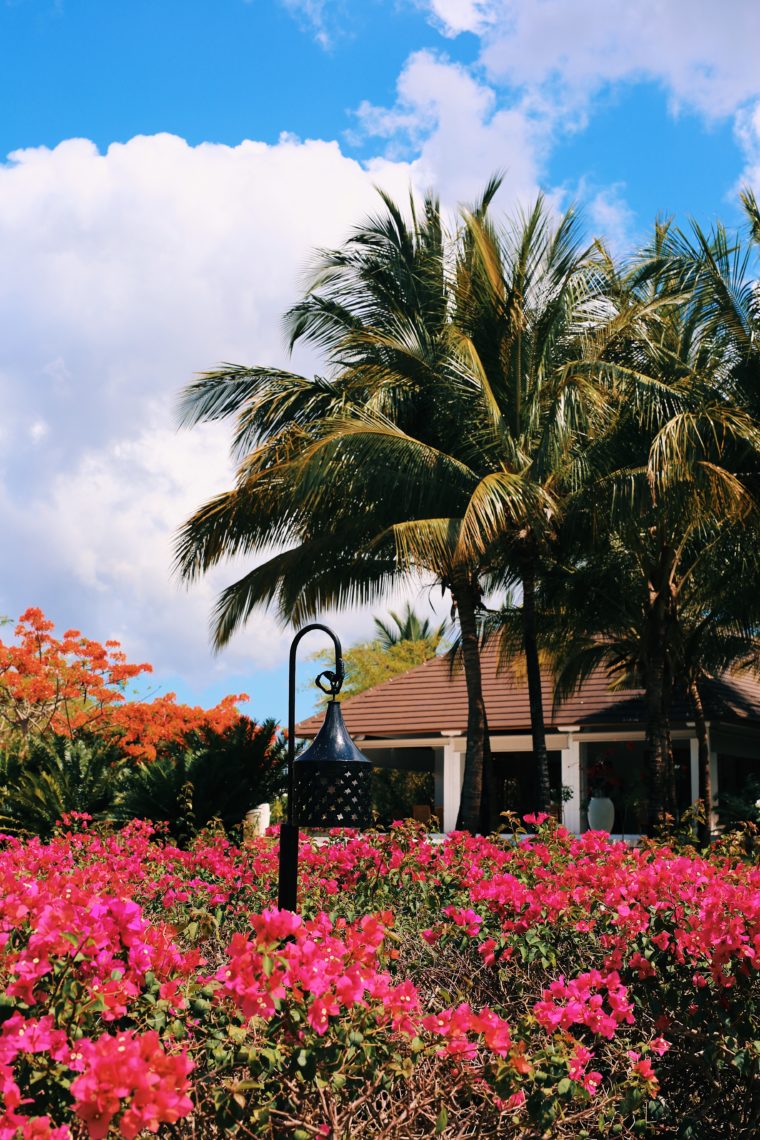 the residence zanzibar tanzania