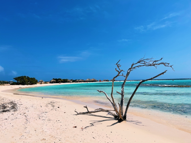 baby beach aruba