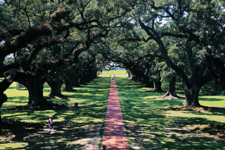 oak alley plantation