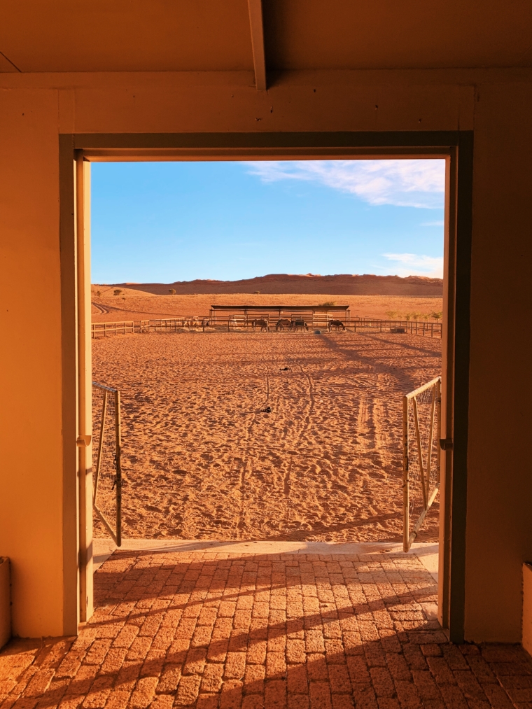 wolwedans dune lodge namibia