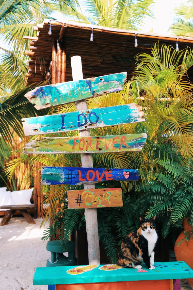 aruba ocean villas