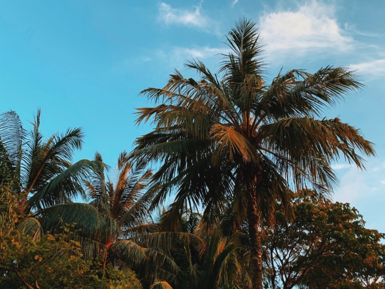 kurumba maldives