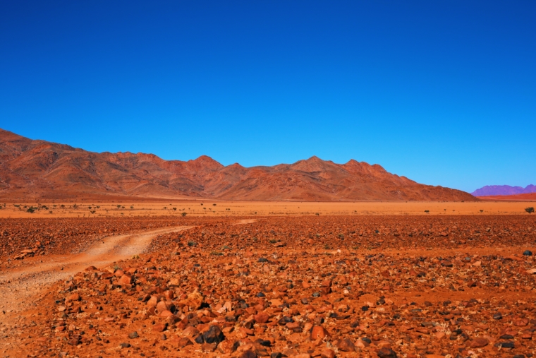 namibia kalahari desert
