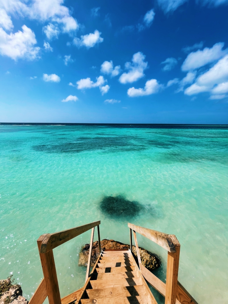 Mangel Halto aruba