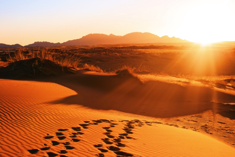 wolwedans dune lodge namibia