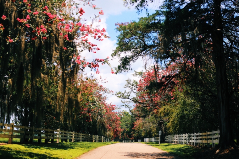 louisiana road 