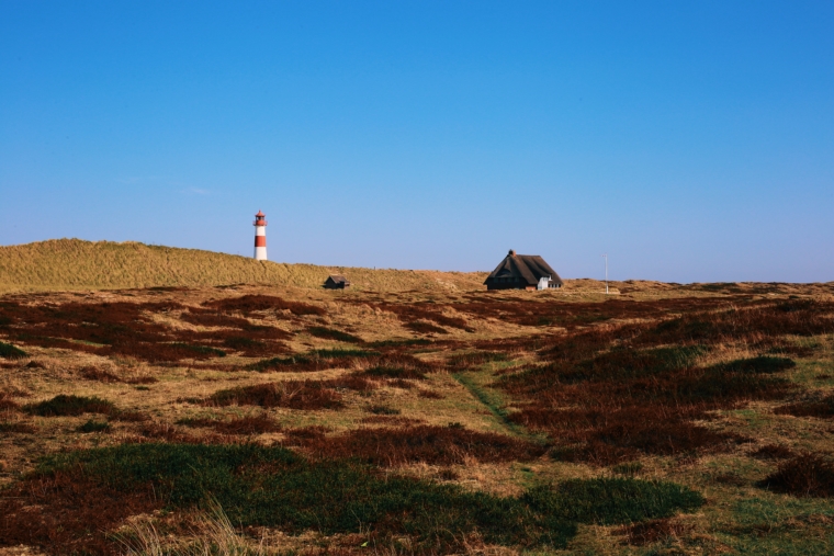 sylt ellebogen leuchtturm dünen