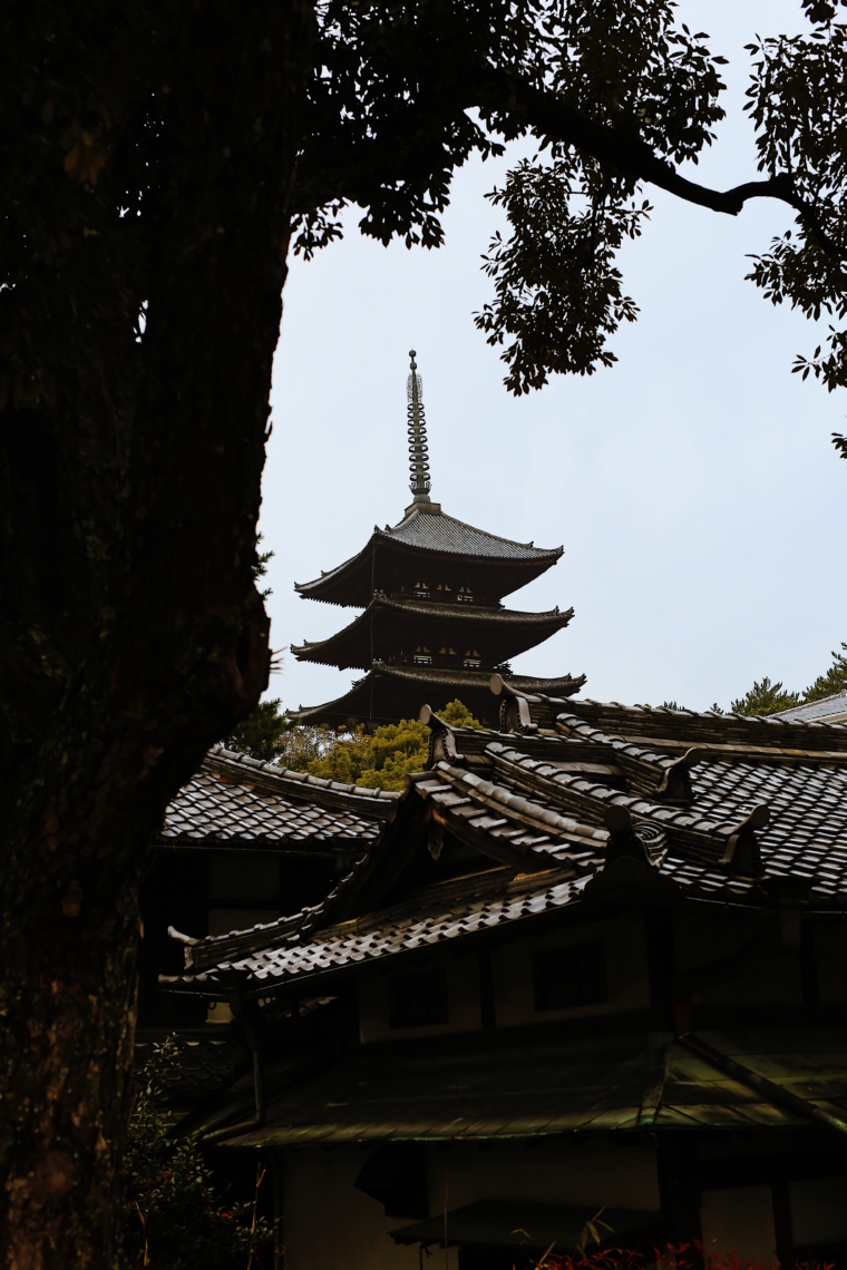 nara japan