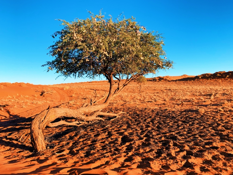 wolwedans dune lodge namibia