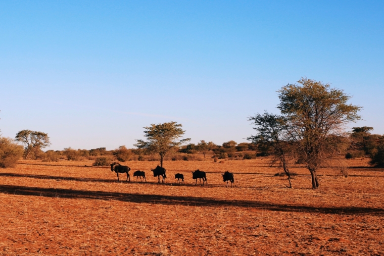 kalahari anib lodge gondwana collection namibia