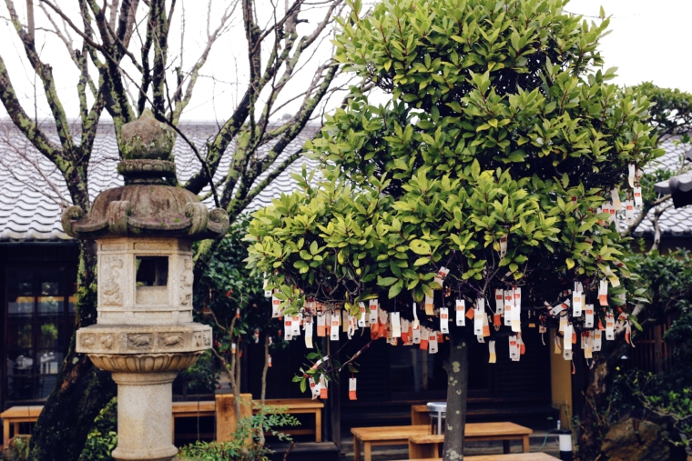 nara japan