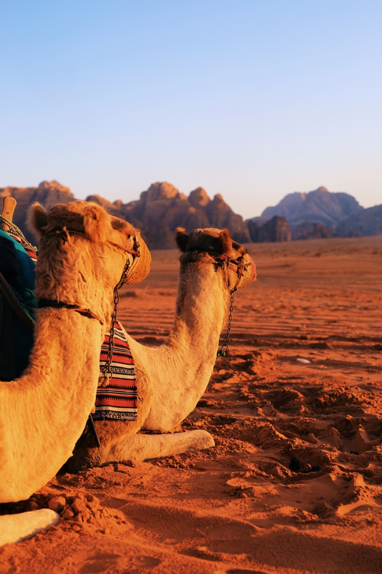 wadi rum jordan