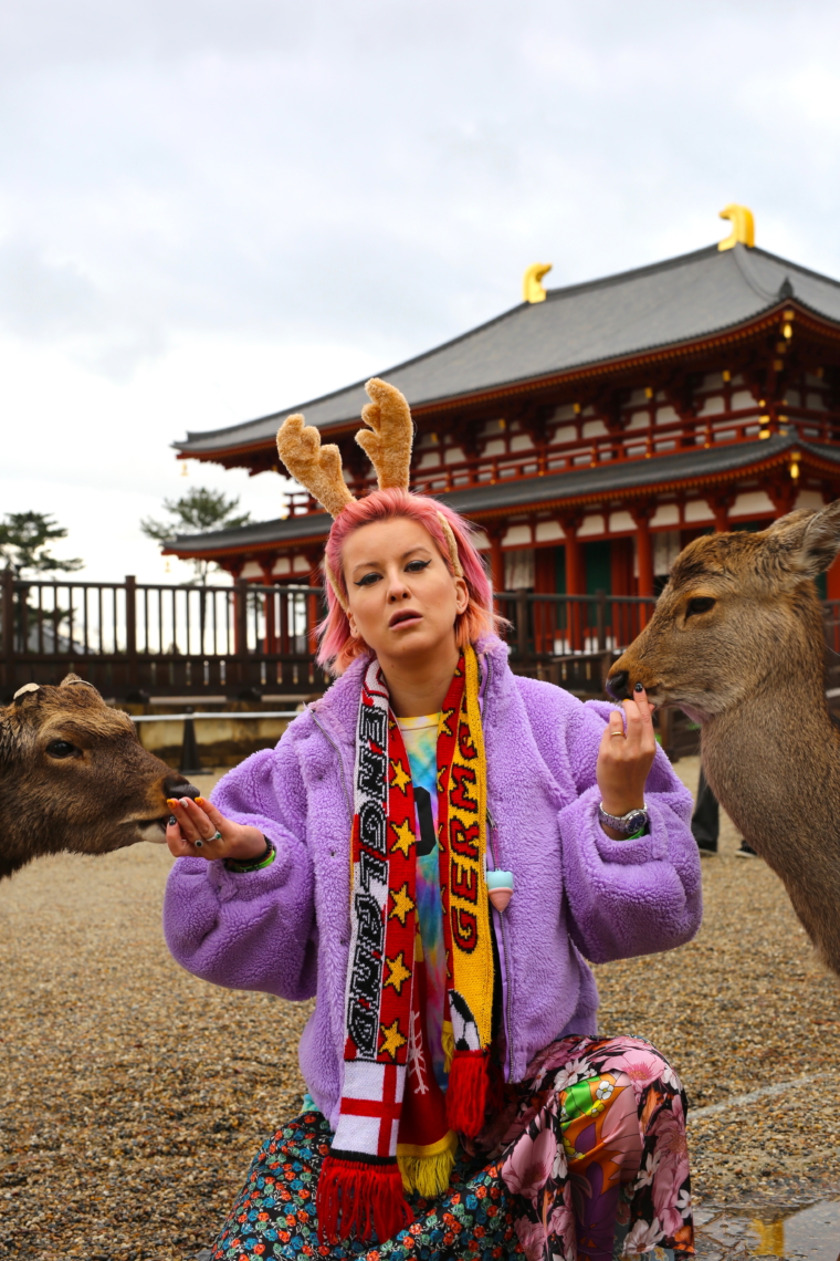 nara japan deer