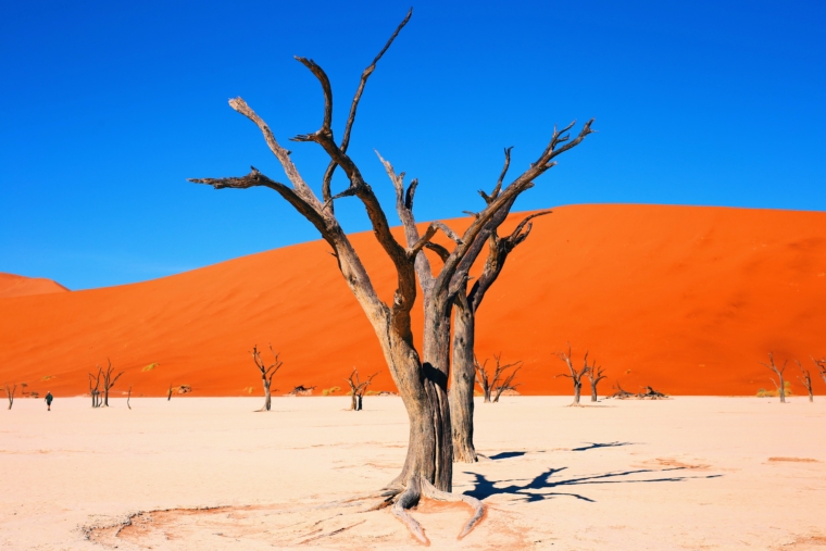 sossusvlei namibia