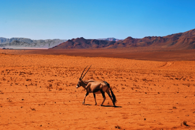 namib desert naukluft namibia