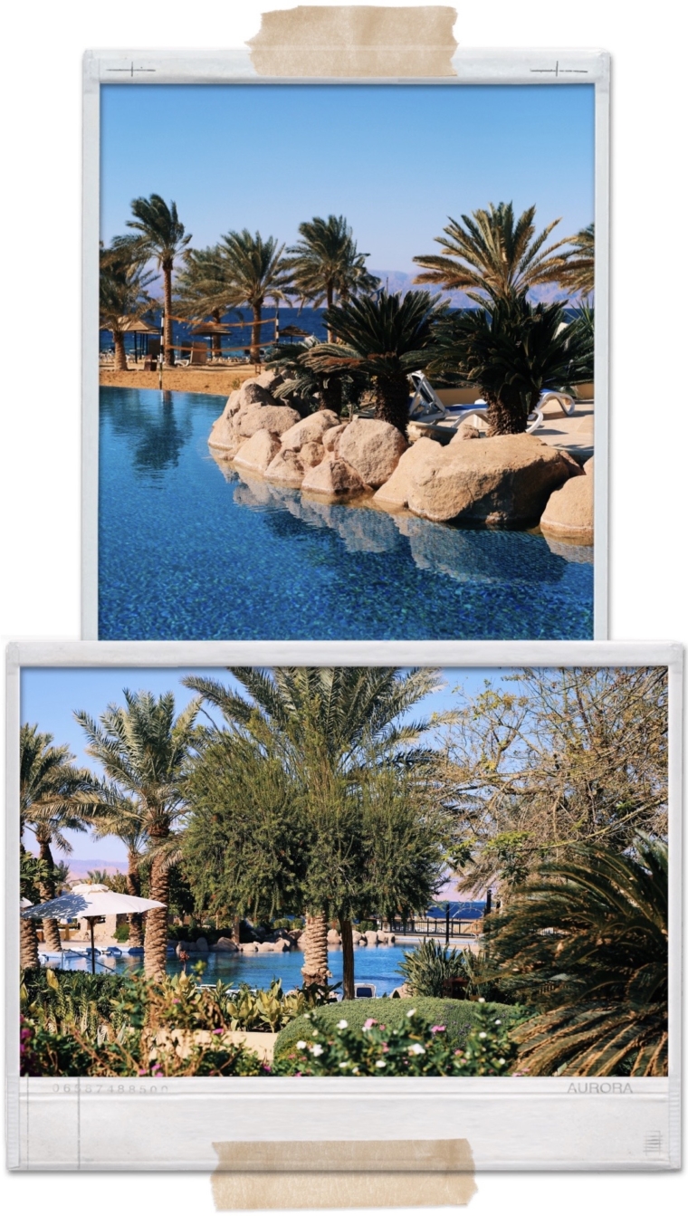 movenpick tala bay jordan