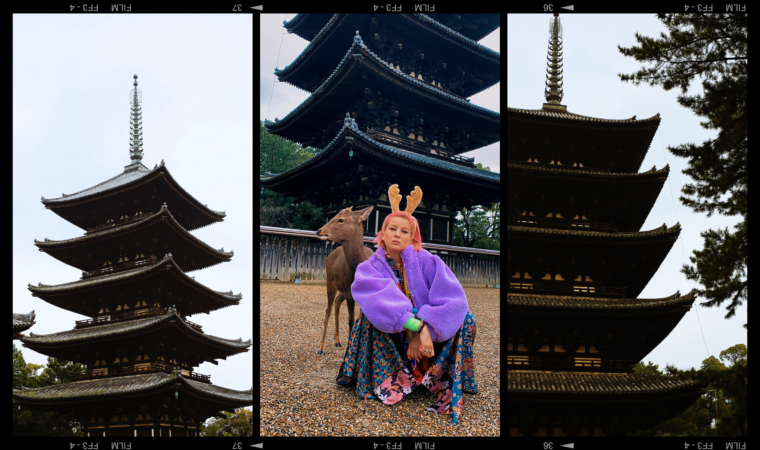 nara japan deer