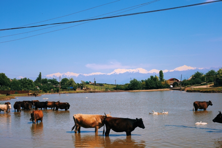 azerbaijan gabala