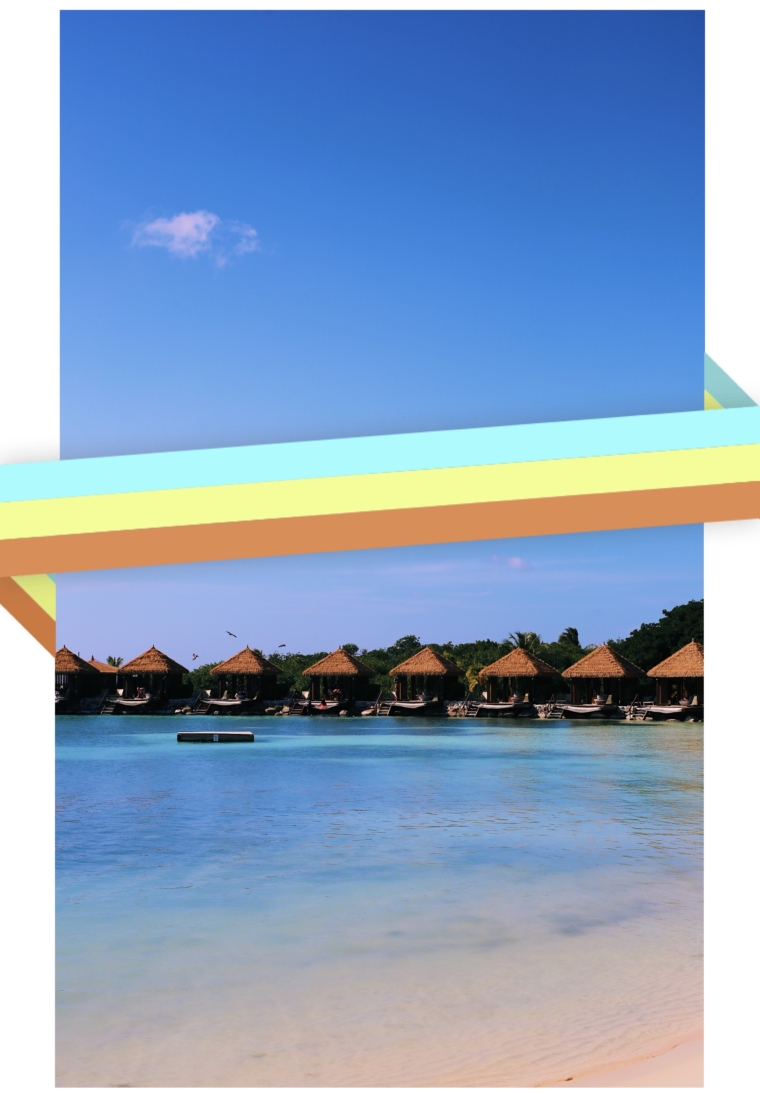 aruba flamingo island beach resort renaissance hotel flamingos