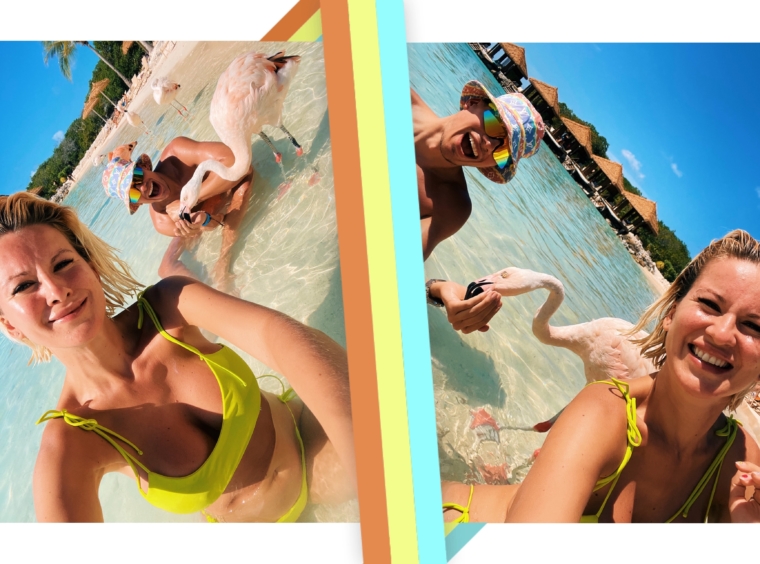 aruba flamingo island beach resort renaissance hotel flamingos