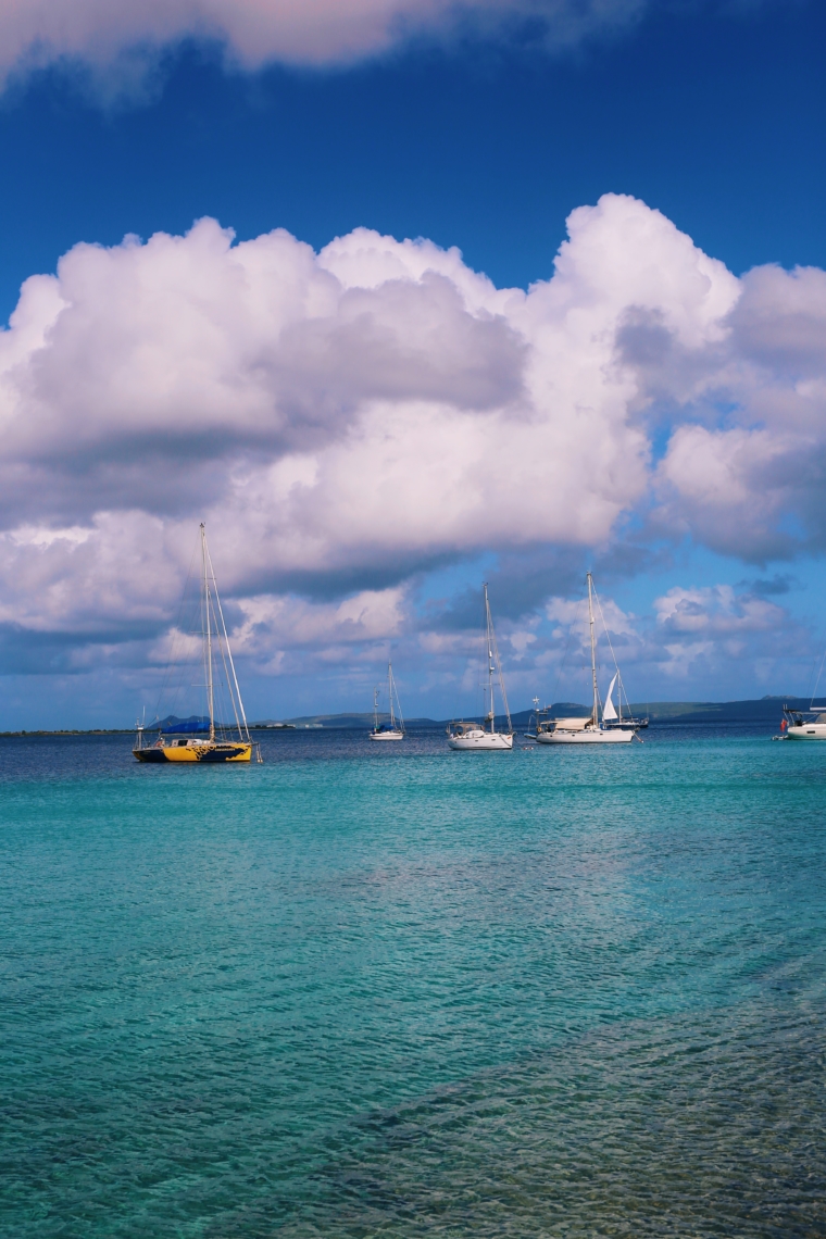 bonaire kralendijk