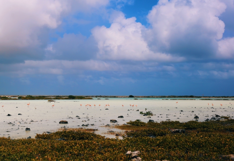 Bonaire Washington Slagbaai National Park