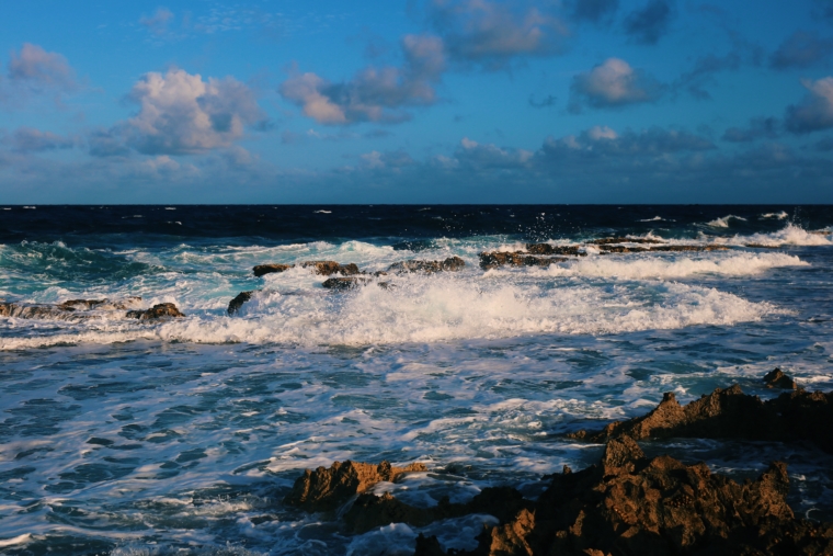 Bonaire Washington Slagbaai National Park