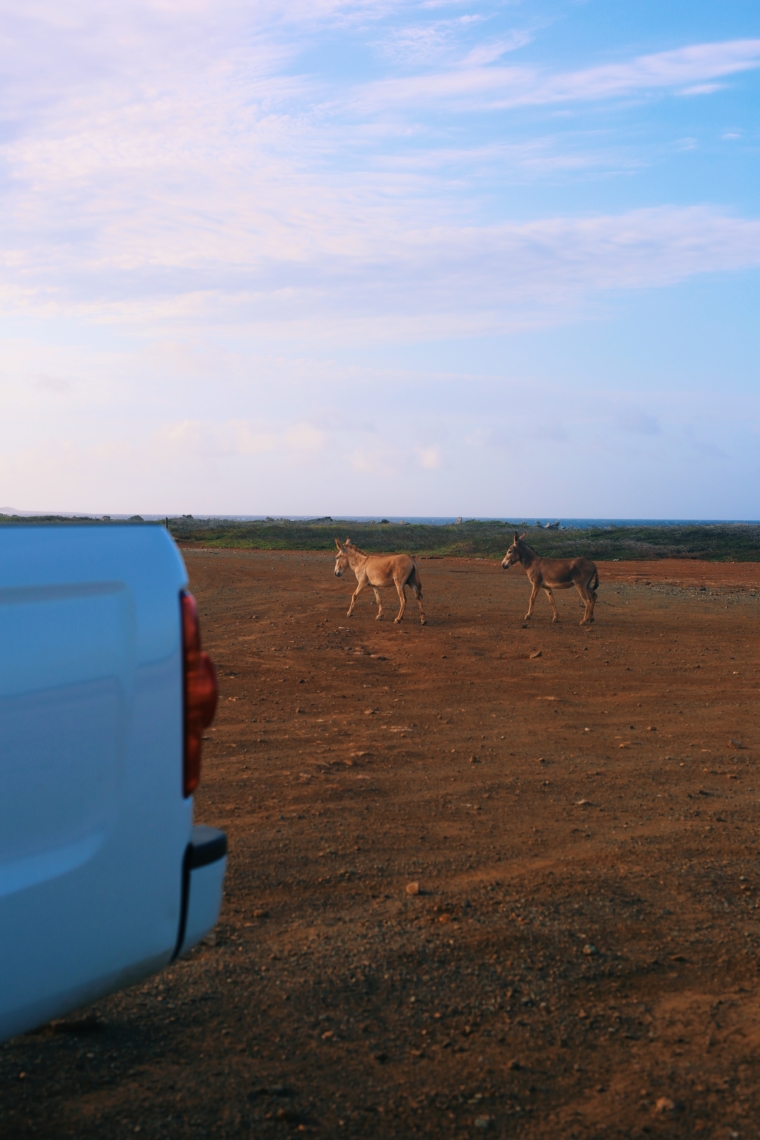 Bonaire Washington Slagbaai National Park