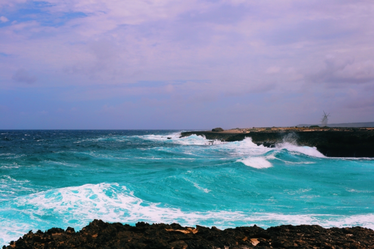 Bonaire Washington Slagbaai National Park