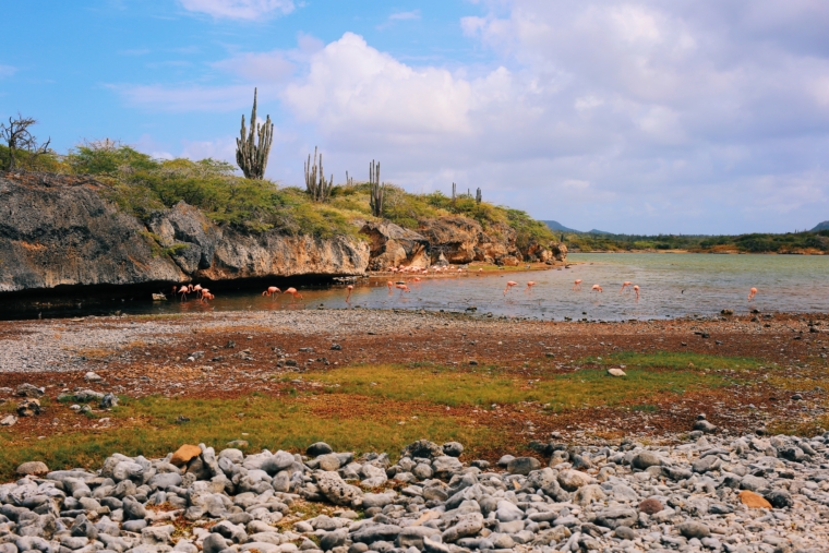 Bonaire Washington Slagbaai National Park