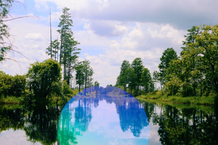 okefenokee swamp park georgia usa