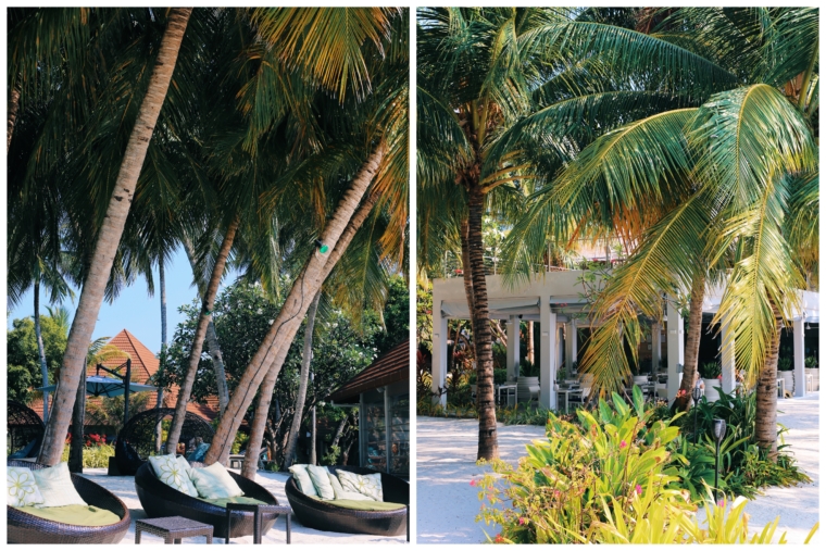 kurumba maldives 